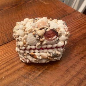 Seashell treasure box